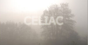 celiac-fog