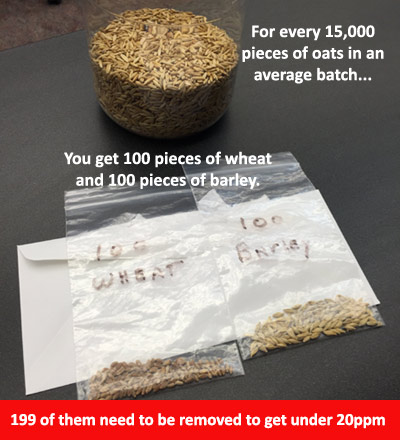 are oats gluten free