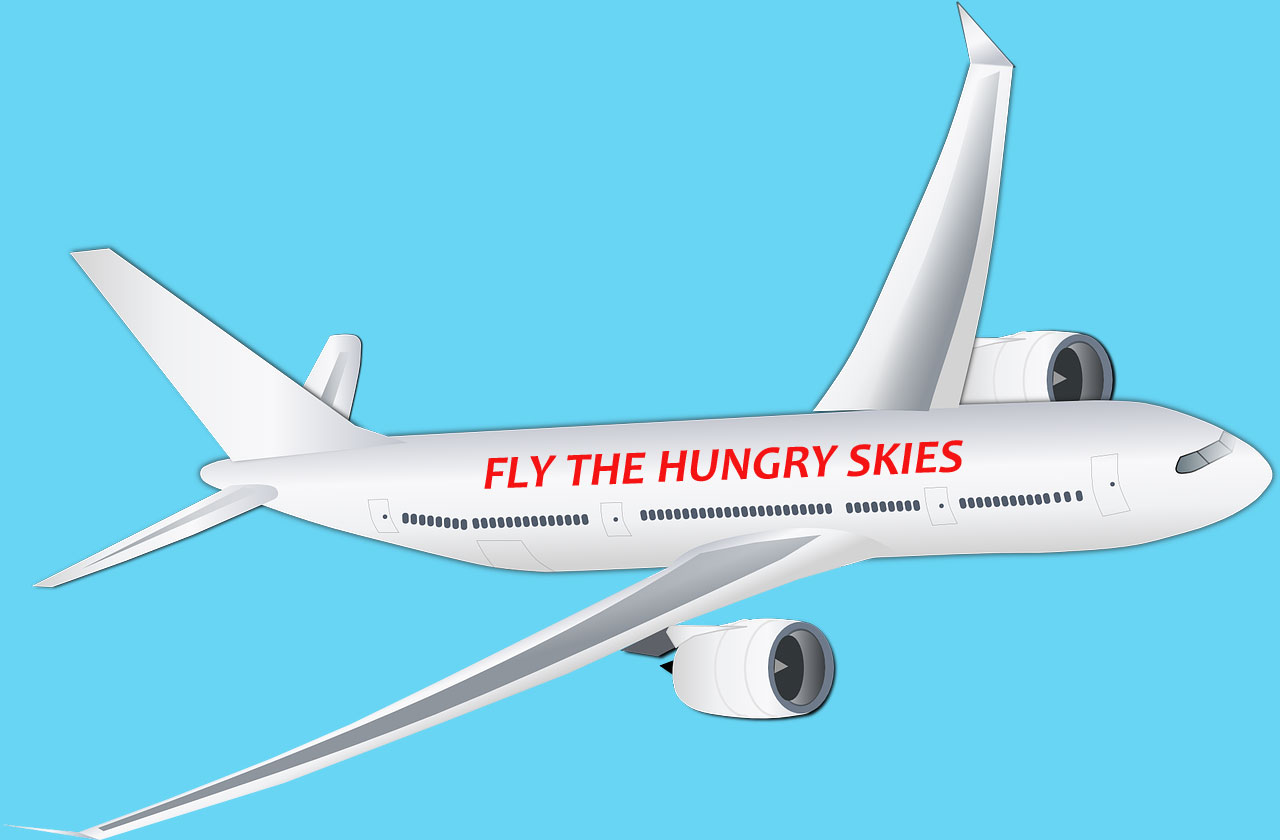 bring food on airplane